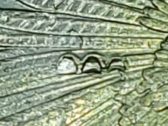 2015-Llouisiana-Quarter-Dollar